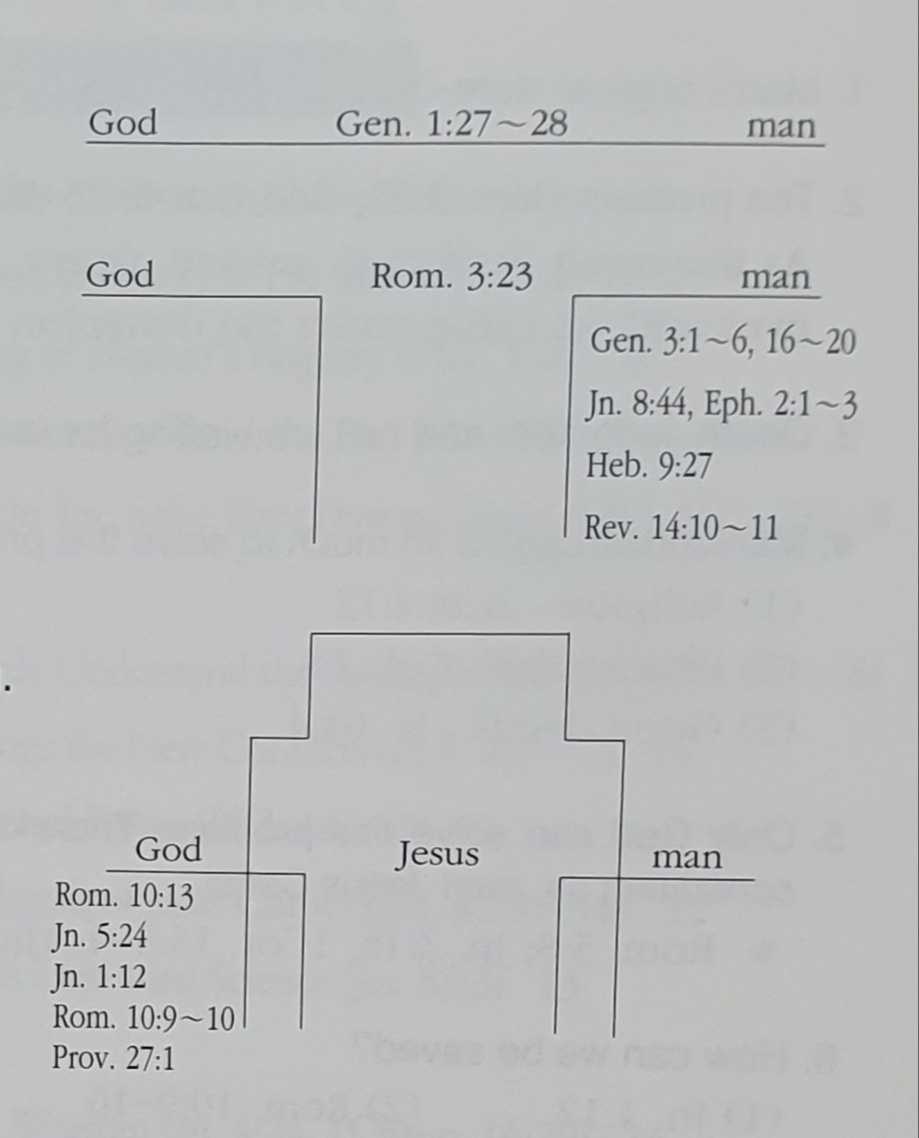 1584534126414.jpg